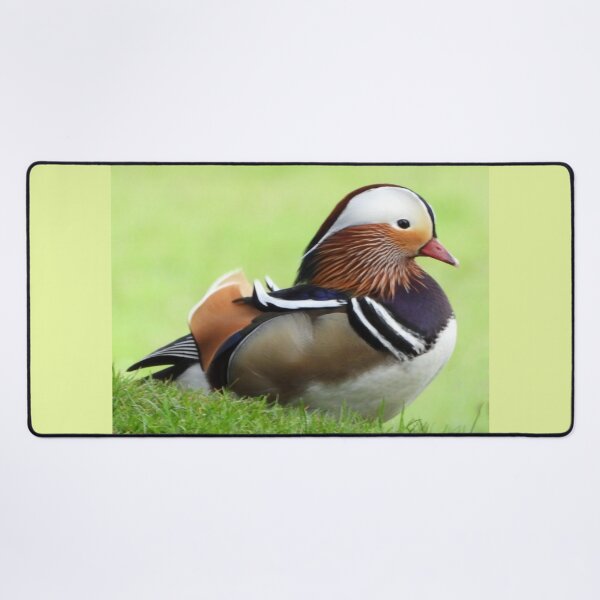 Item preview, A Wonderful Mandarin Duck designed and sold by Karen Thomson.