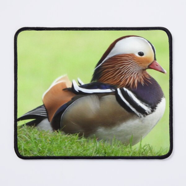 Item preview, A Wonderful Mandarin Duck designed and sold by Karen Thomson.