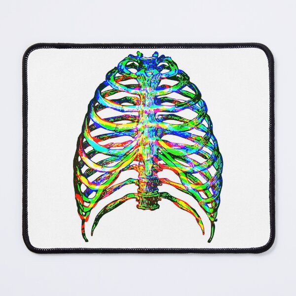 Item preview, Colorful 3D Ribcage designed and sold by Ink-and-Thread.