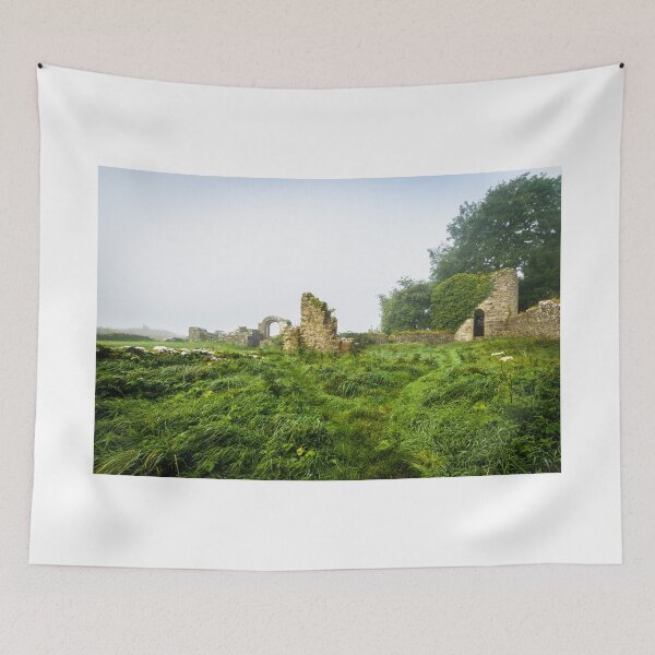 Item preview, The ruins of an old Irish castle on a foggy morning, near a lake in Ireland designed and sold by AlbertMi.