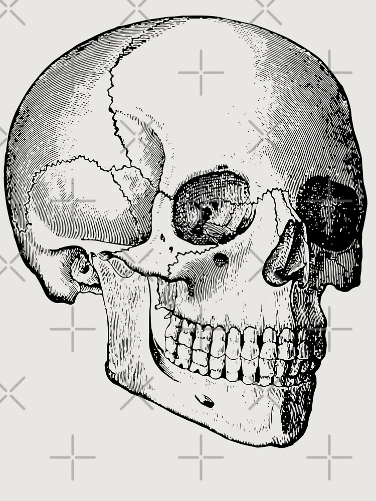 Thumbnail 6 of 6, Premium Oversized Sweatshirt, Skull [Roufxis-Rb] designed and sold by RoufXis.
