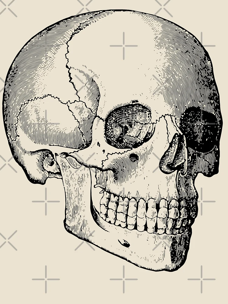 Thumbnail 4 of 4, Relaxed T-Shirt, Skull [Roufxis-Rb] designed and sold by RoufXis.
