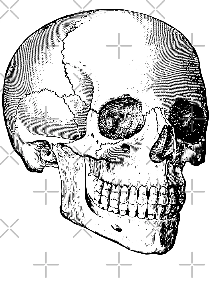 Thumbnail 7 of 7, Oversized T-Shirt, Skull [Roufxis-Rb] designed and sold by RoufXis.