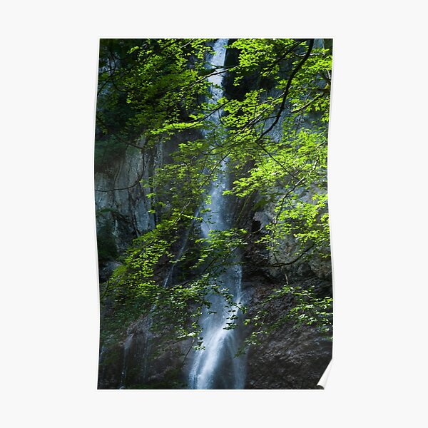 Cascade Poster