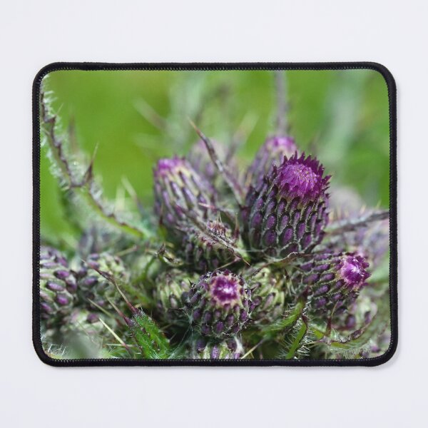 Item preview, Amethysts in the Crown designed and sold by IslayFineArt.