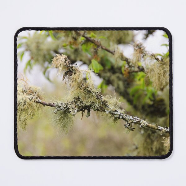 Item preview, In the Woods designed and sold by IslayFineArt.