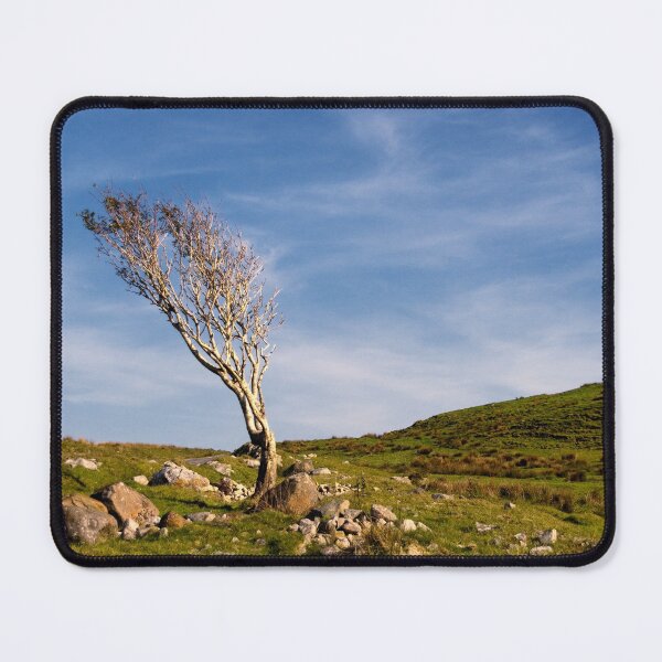 Item preview, The Lone Tree designed and sold by IslayFineArt.