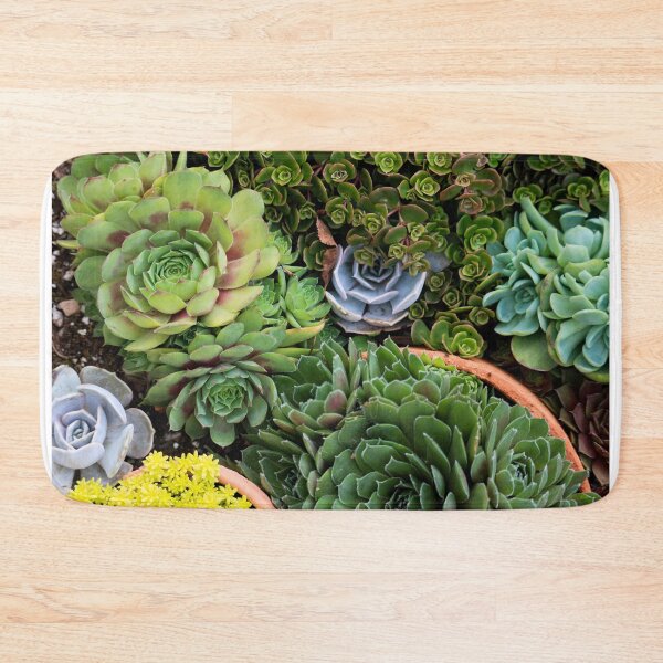 Item preview, Succulent Bowl designed and sold by OhSnapPhoto.