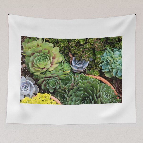 Item preview, Succulent Bowl designed and sold by OhSnapPhoto.