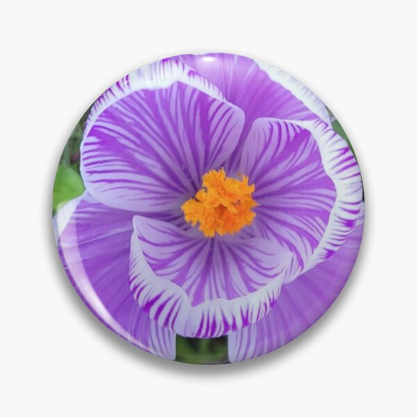 Item preview, Spring flowers designed and sold by Laura Spear.