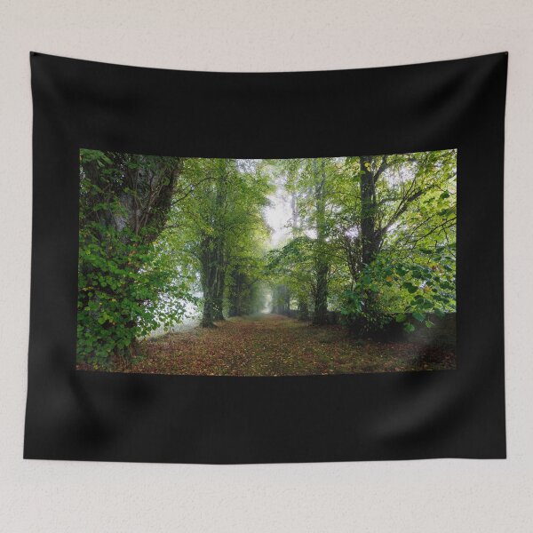 Item preview, A foggy path in an autumn Irish forest designed and sold by AlbertMi.