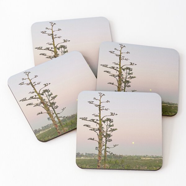 Item preview, Blooming Agave at Sunset from Balboa Park designed and sold by Outside365.