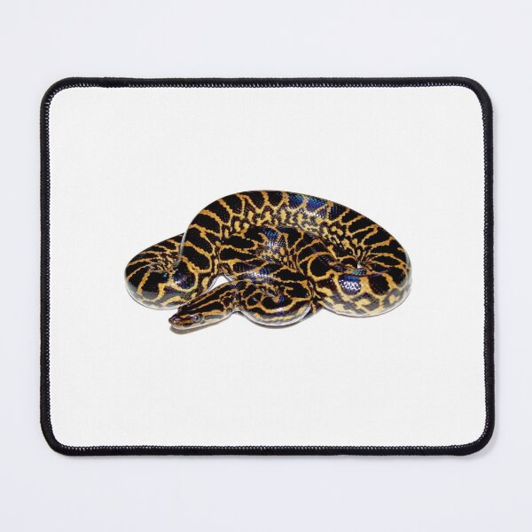 Item preview, Wild snake designed and sold by TheDillen.