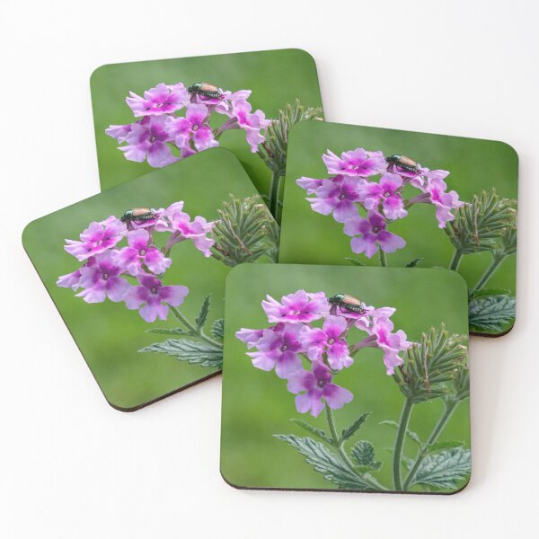 Item preview, Japanese Beetle on Pink Verbena designed and sold by Gerda Grice Photography.