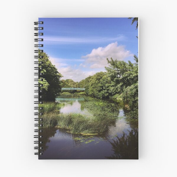 Item preview, Blandford Forum Blue Bridge, Dorset designed and sold by LindaCooke.