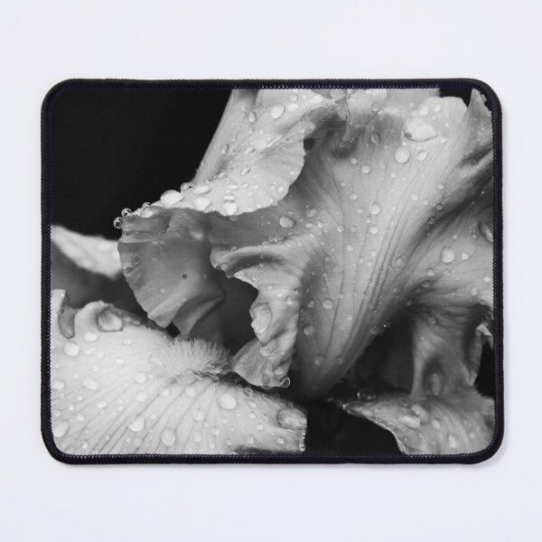 Item preview, Rain Kissed Iris In Black & White designed and sold by TJFox.