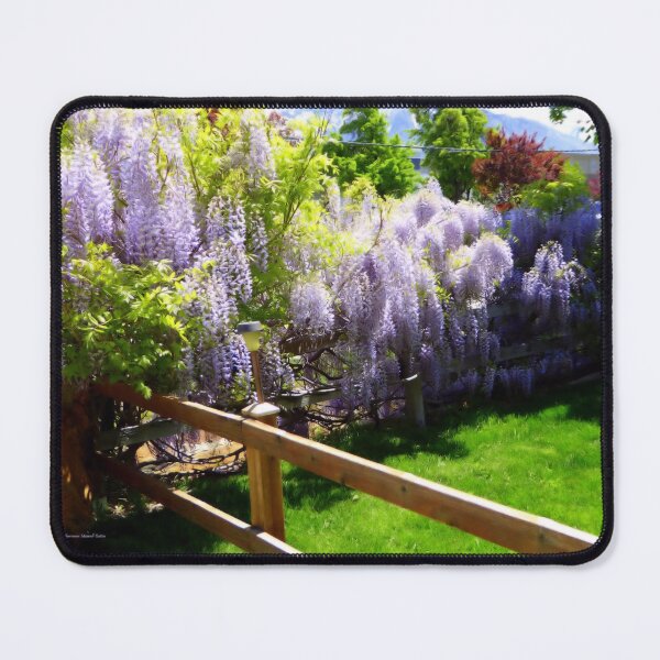 Item preview, Blooming Wisteria designed and sold by Charmiene Maxwell-Batten.