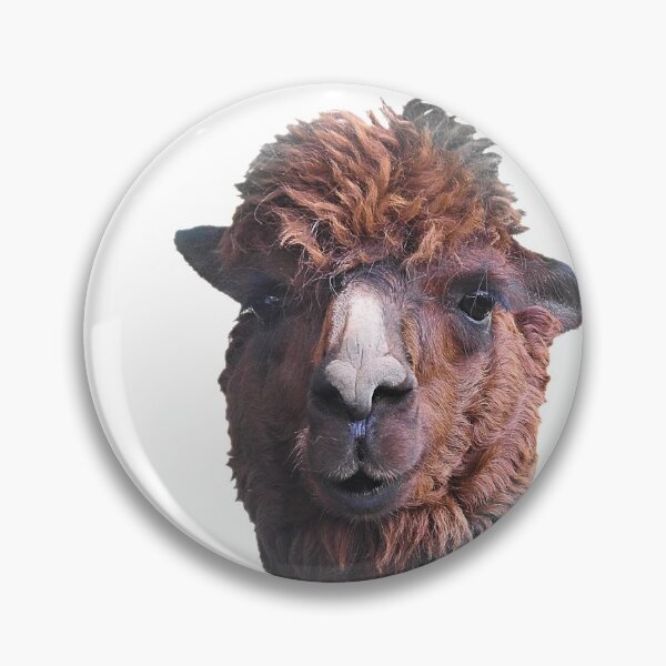 Item preview, Alpaca Cute Portrait designed and sold by KathyGail.