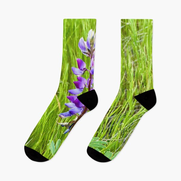 Item preview, Blue Lupin in Lush Grass designed and sold by Outside365.