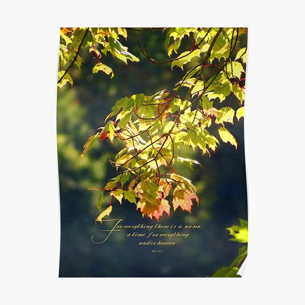 For everything there is a season, Ecc. 3:1 Poster