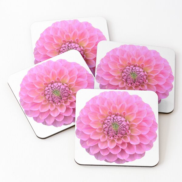 Item preview, Pink Dahlia Flower Bodegón Floral Photography designed and sold by CottoVerdi.
