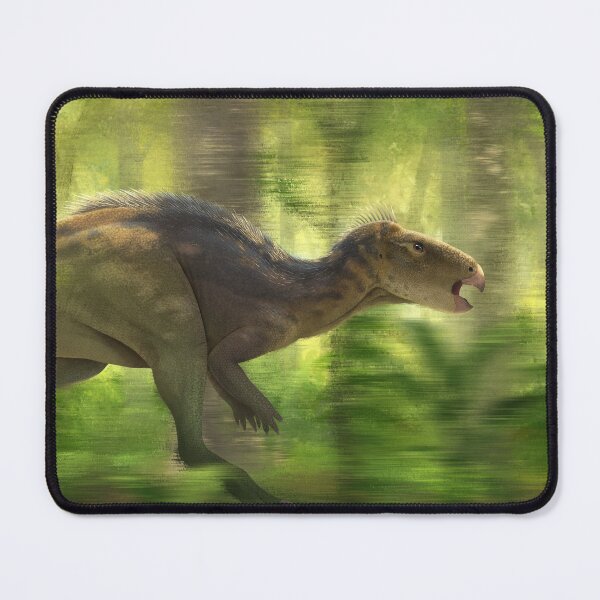 Item preview, Zalmoxes designed and sold by David Arruda.