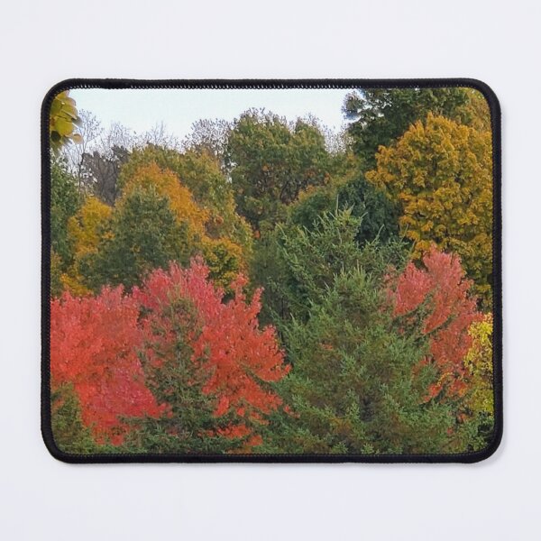 Item preview, Early fall colors designed and sold by SuzettesStills.