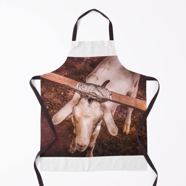 Item preview, Dammit designed and sold by Jim Love.