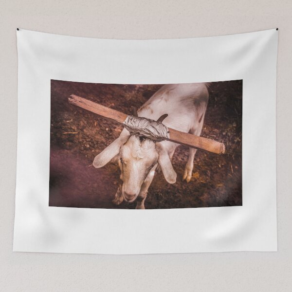 Item preview, Dammit designed and sold by Jim Love.