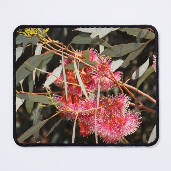 Pink Flowering Gum by Avril Thomas, South Australian artist Mouse Pad
