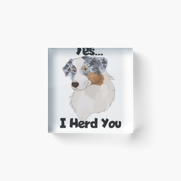 Item preview, yes I Herd you Blue merle Australian shepherd designed and sold by Blaspur.