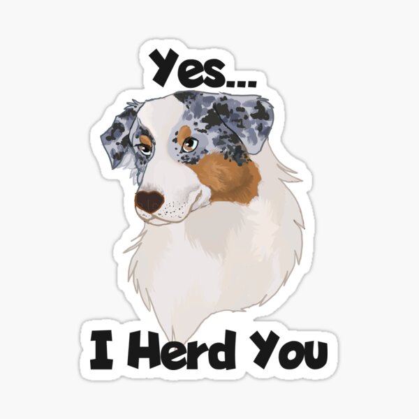 Item preview, yes I Herd you Blue merle Australian shepherd designed and sold by Blaspur.