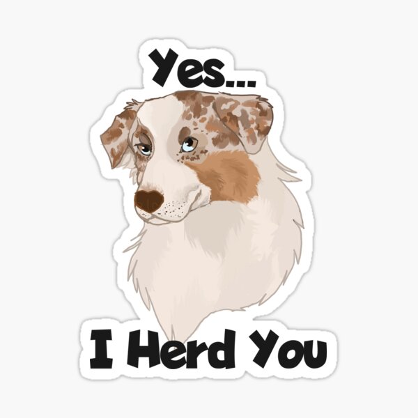 Item preview, Yes I Herd You red merle Australian shepherd designed and sold by Blaspur.