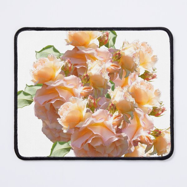 Item preview, Roses - Magpie Springs - Adelaide Hills Wine Region - Fleurieu Peninsula - South Australia designed and sold by MagpieSprings.