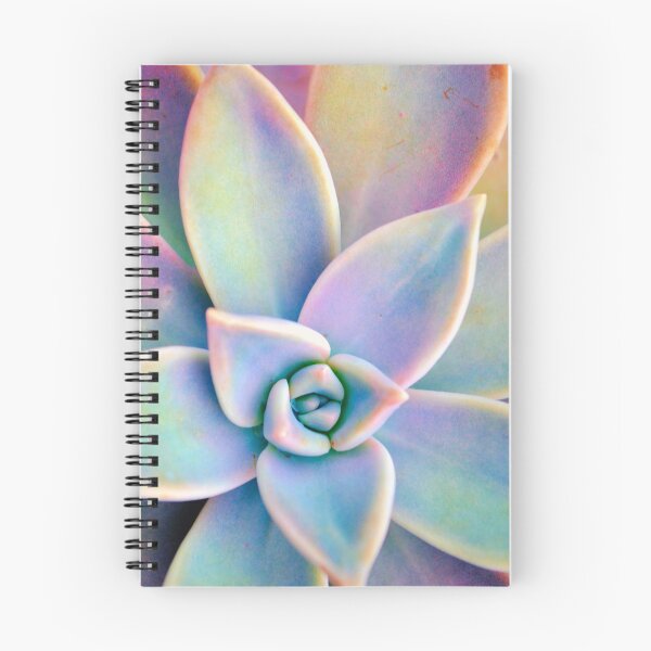 Item preview, Rainbow succulent designed and sold by RaineLight.