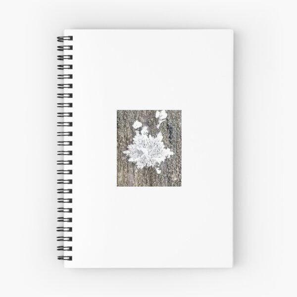 Item preview, Snow flake designed and sold by SuzettesStills.