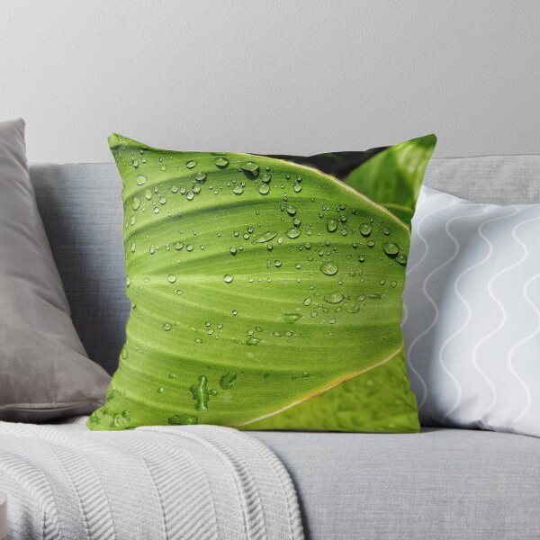 Calla Lily Leaf With Waterdrops Throw Pillow