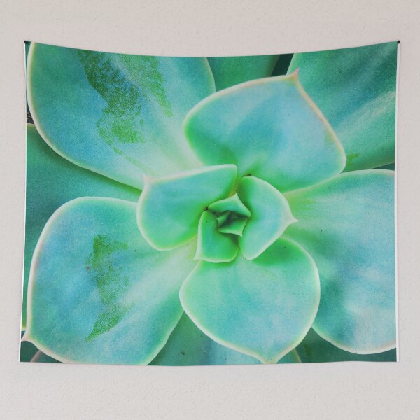 Item preview, Dewy succulent designed and sold by RaineLight.