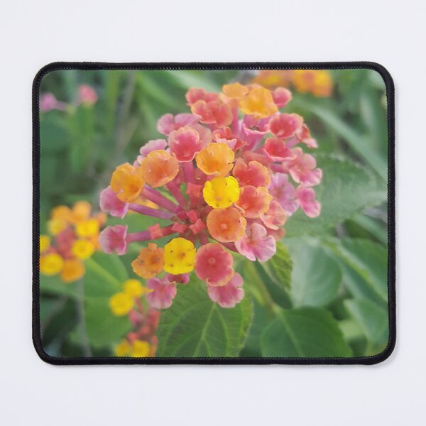 Item preview, Delicate Lantana Blossoms designed and sold by Sharonmobile.
