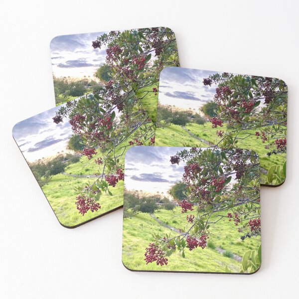 Item preview, Vibrant Choke Cherry Tree Red Berries Against Dramatic Background designed and sold by Outside365.