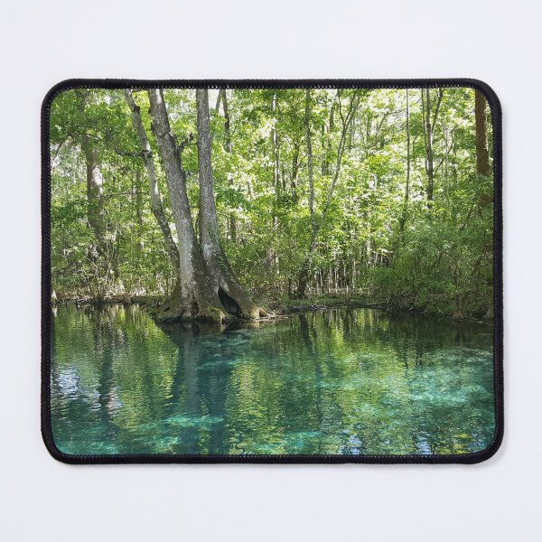 Item preview, Trees by a Florida Spring in Ocala National Forest designed and sold by Sharonmobile.