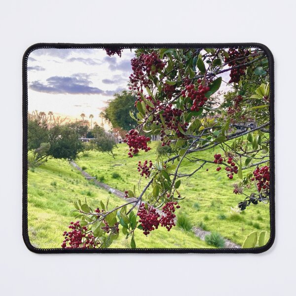 Item preview, Vibrant Choke Cherry Tree Red Berries Against Dramatic Background designed and sold by Outside365.