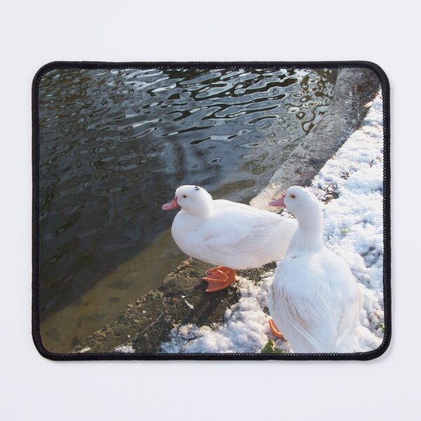 Item preview, WHITE DUCKS WALKING ON THE WINTER SNOW TUSCANY FLORENCE Photo designed and sold by BulganLumini.