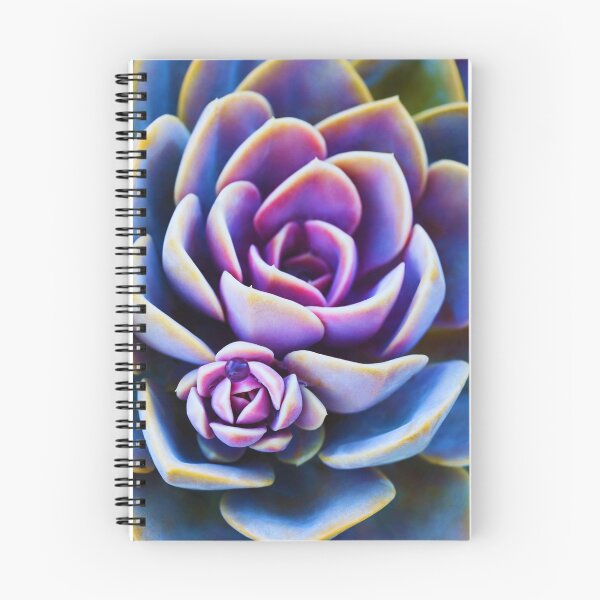 Item preview, Vibrant Rainbow Succulent designed and sold by RaineLight.