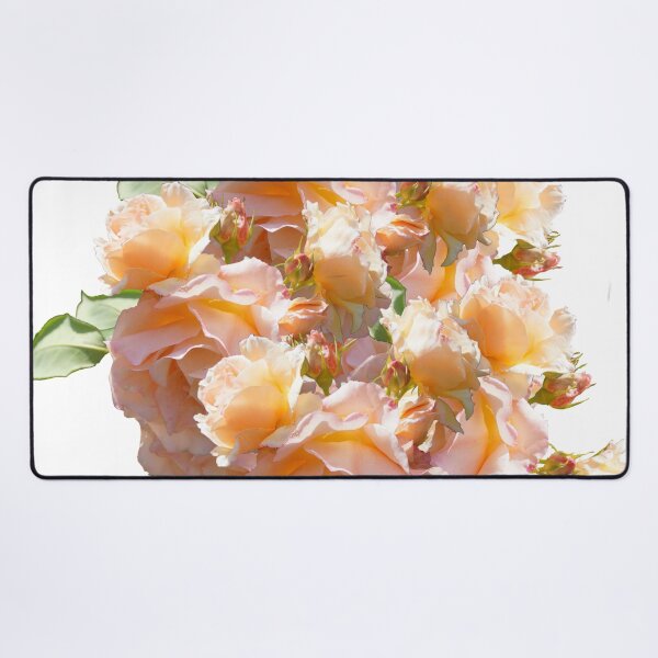Item preview, Roses - Magpie Springs - Adelaide Hills Wine Region - Fleurieu Peninsula - South Australia designed and sold by MagpieSprings.