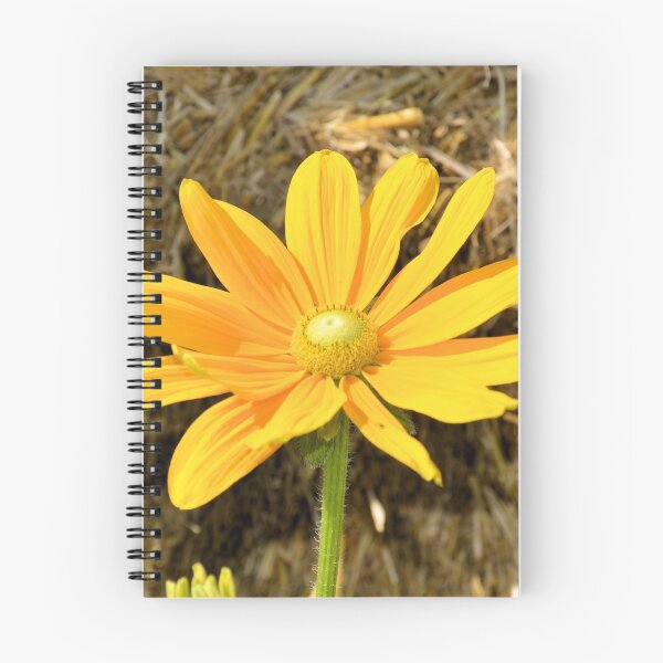 Item preview, Happy Yellow Flower designed and sold by Ben Waggoner.