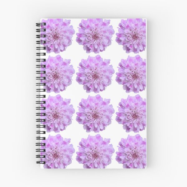 Item preview, Purple Scabious Flower Still Life Floral Photography designed and sold by CottoVerdi.