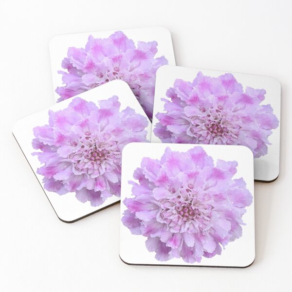 Item preview, Purple Scabious Flower Still Life Floral Photography designed and sold by CottoVerdi.