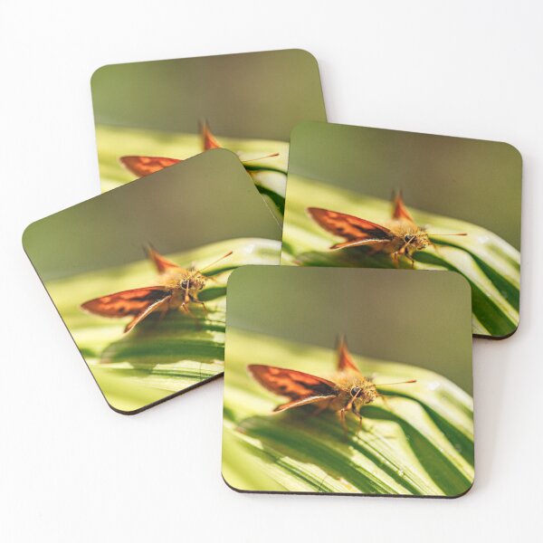 Item preview, Woodland skipper on a blade designed and sold by jillianbutolphphoto.
