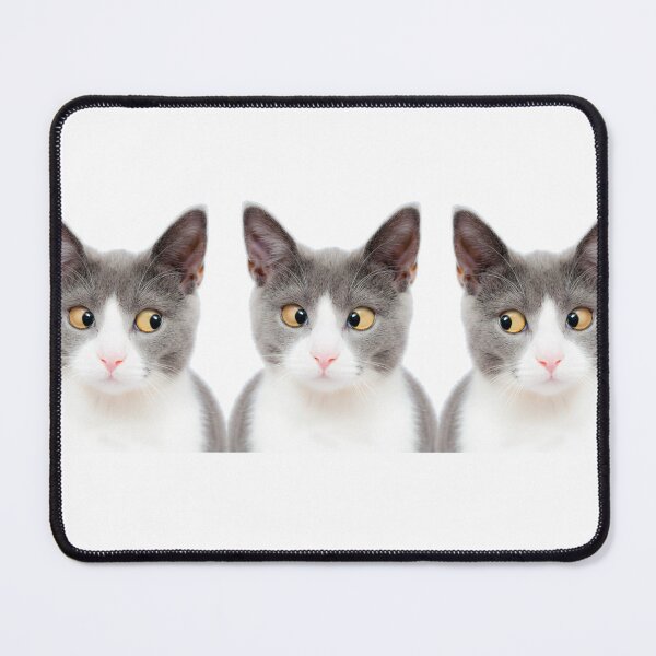 Item preview, Weird Cat Threesome designed and sold by loganferret.